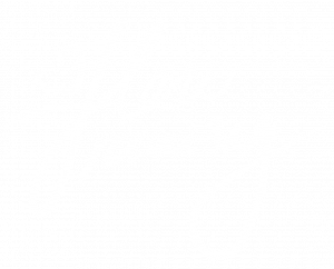 Flow Training Logo White